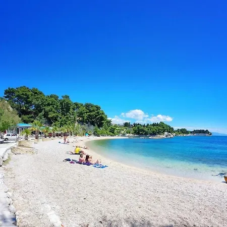 With Garden Ana * Split